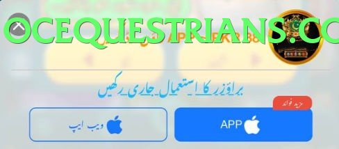 ck999 game app for Pakistan players